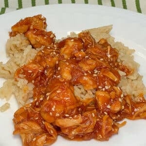 slow cooker orange chicken