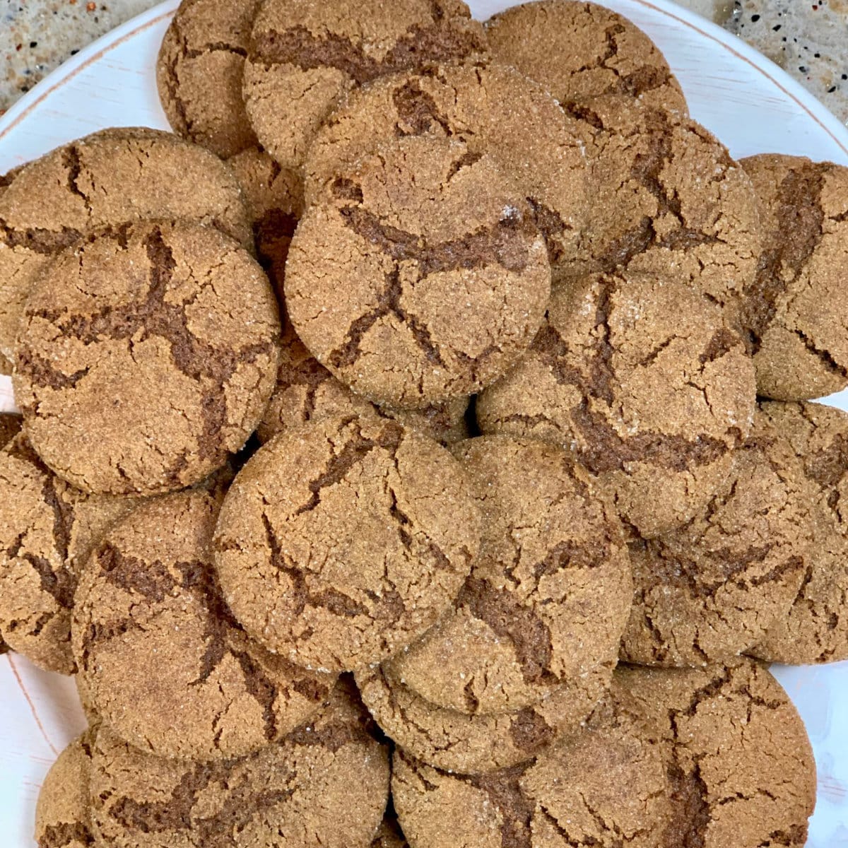 Gingersnap Cookie 🍪