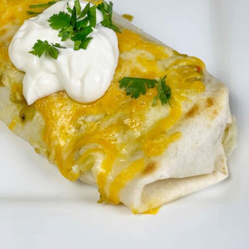 Turkey Tomatillo and Bean Burrito