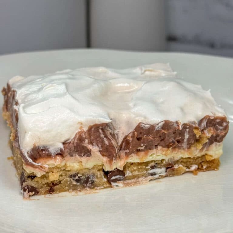 chocolate chip cookie delight