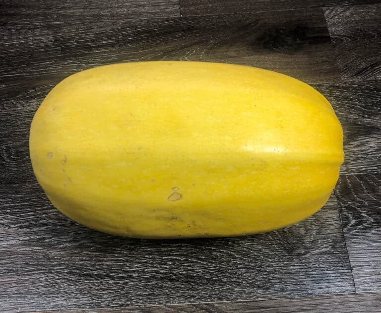 whole spaghetti squash