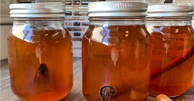 instant pot apple pie moonshine