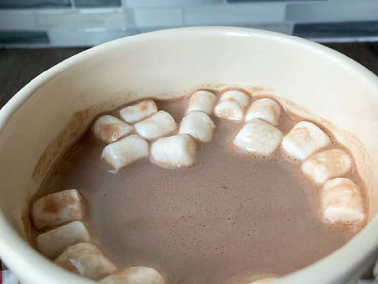 hot cocoa in a mug with marshmallows