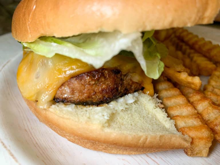 burger with fries
