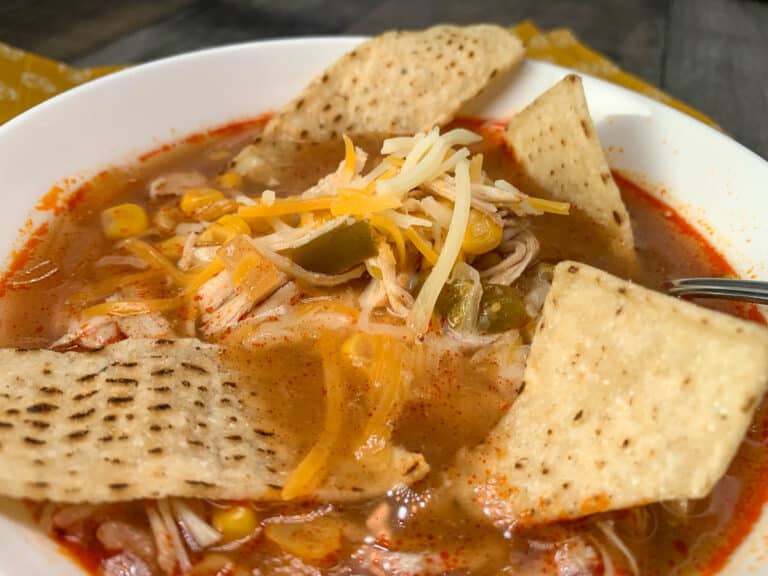 slow cooker chicken enchilada soup