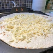 cheese on flour tortilla