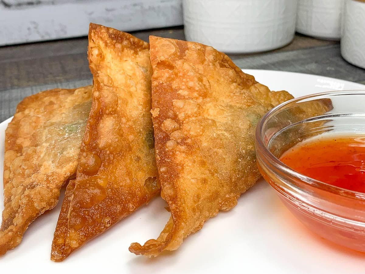 deep fried wontons