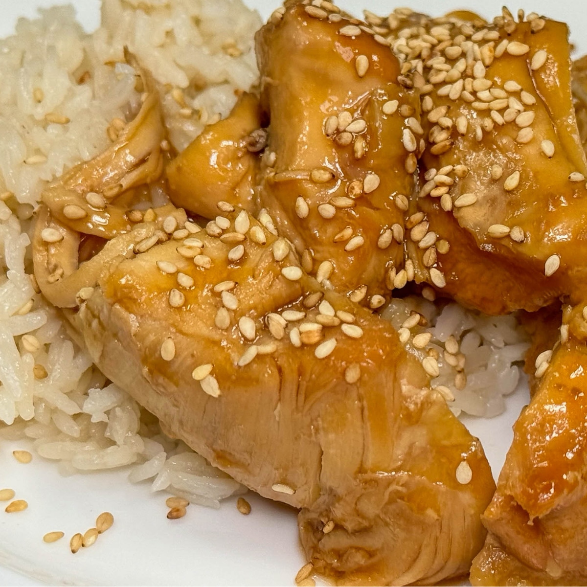 Instant Pot Teriyaki Chicken