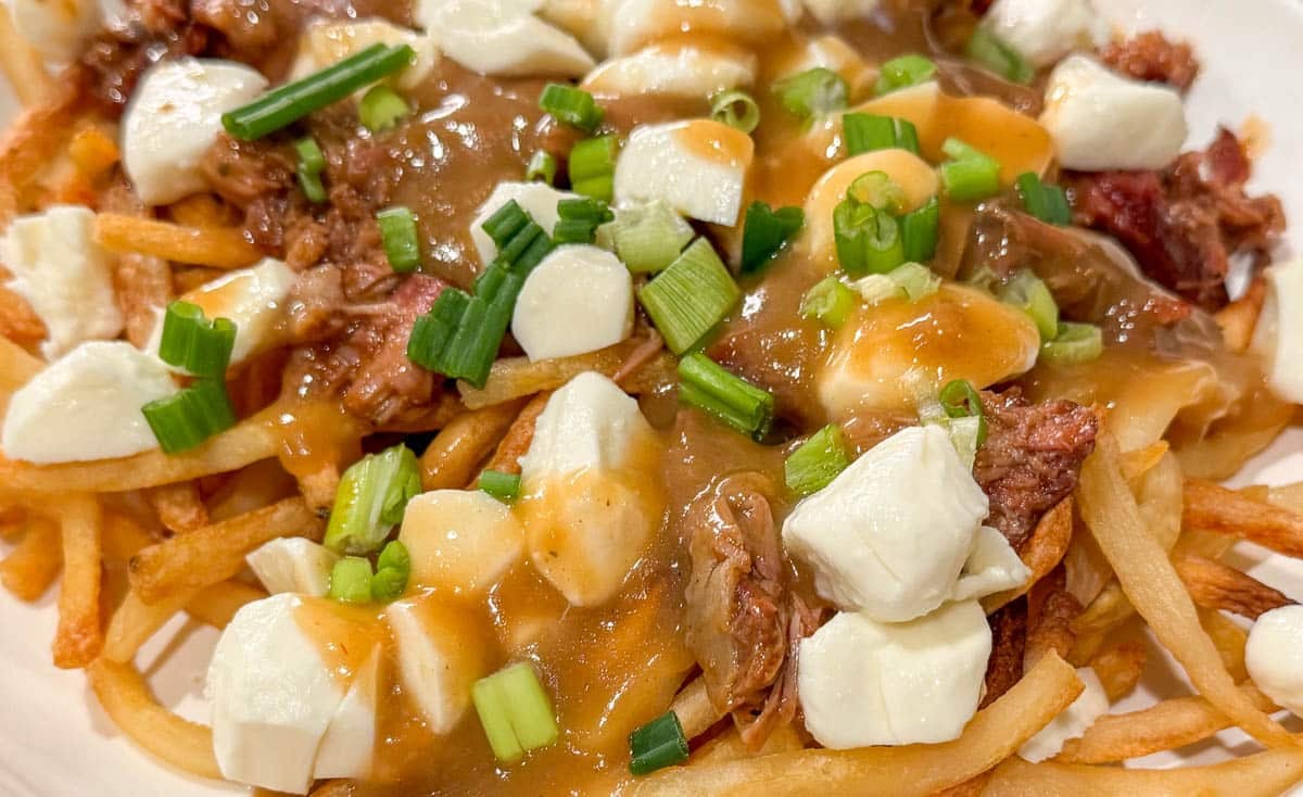 bbq pulled pork poutine